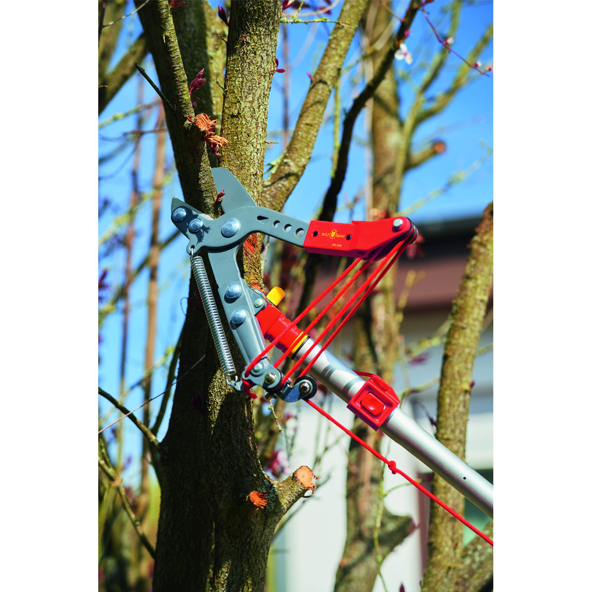 Wolf Garten Profi-Baumschere RC-VM Bild 3