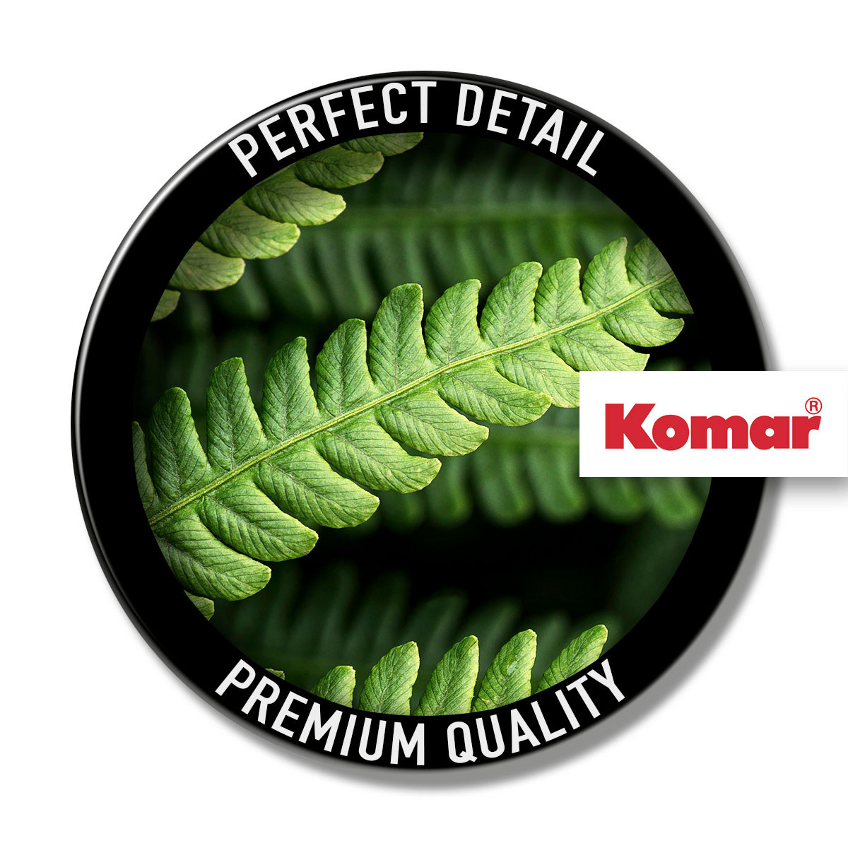 Komar  Vlies Fototapete Farn 350x250 cm Bild 3