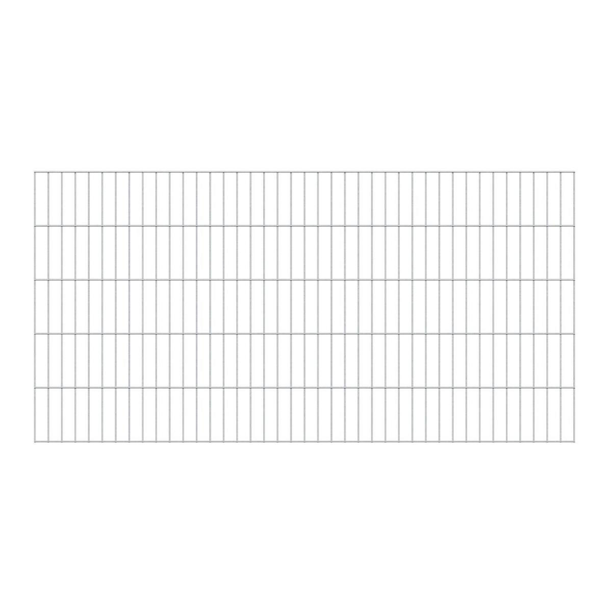 GAH Alberts Doppelstabmatte 6/5/6 feuerverzinkt 200 x 100 cm