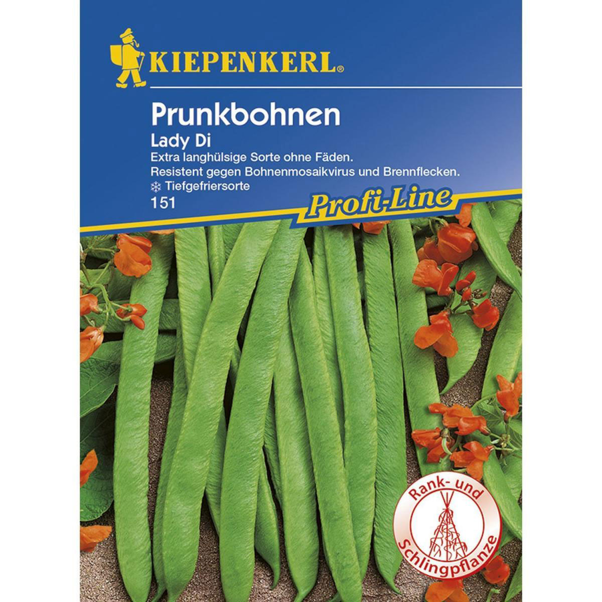 Kiepenkerl Prunkbohnen Lady Di