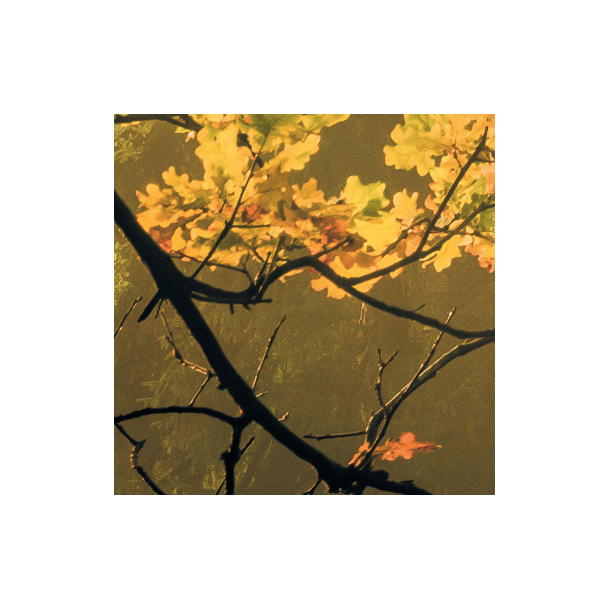 Komar  Vlies Fototapete Devil's Bridge 400x250 cm Bild 8