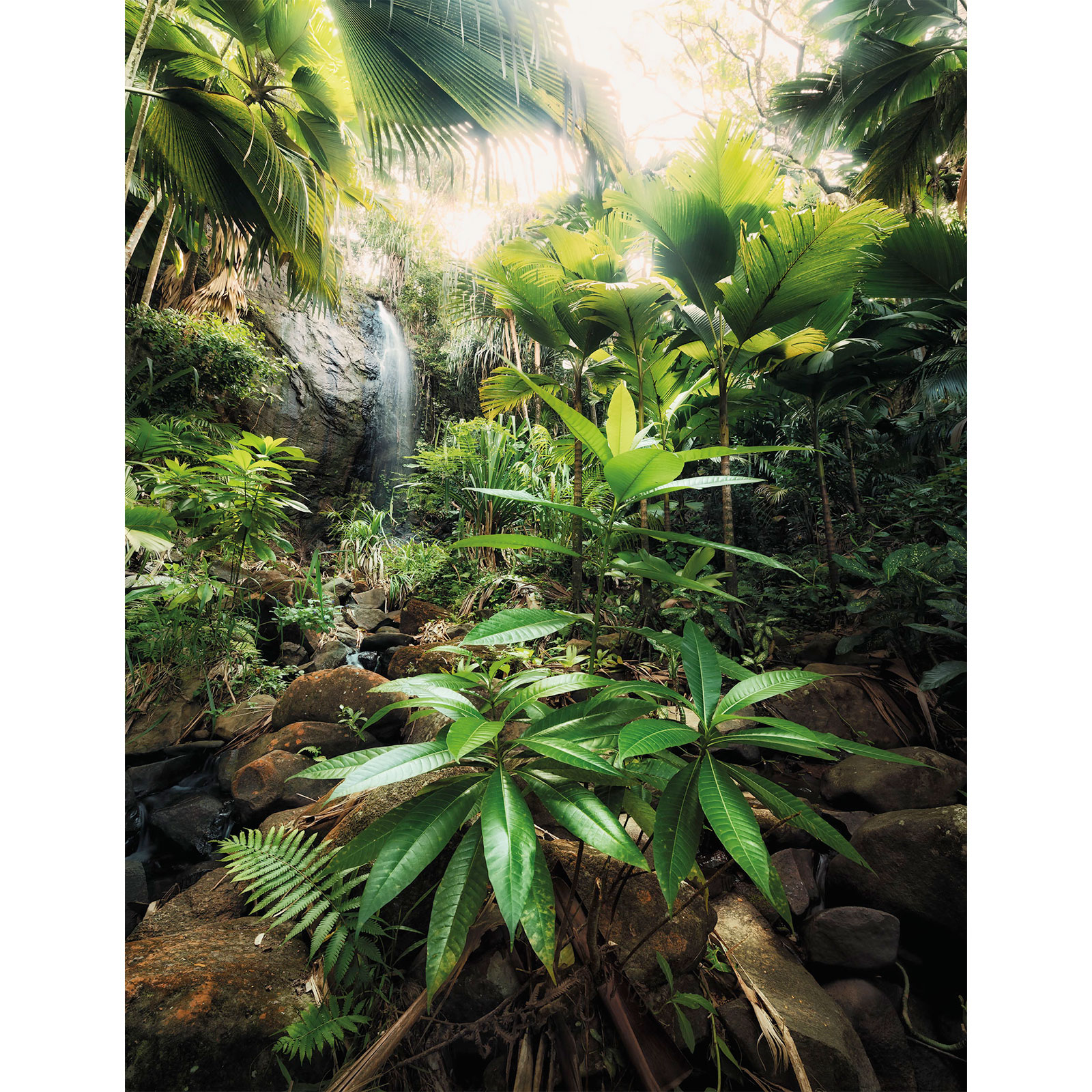 Komar  Vlies Fototapete Spirit 200x260 cm Bild 2