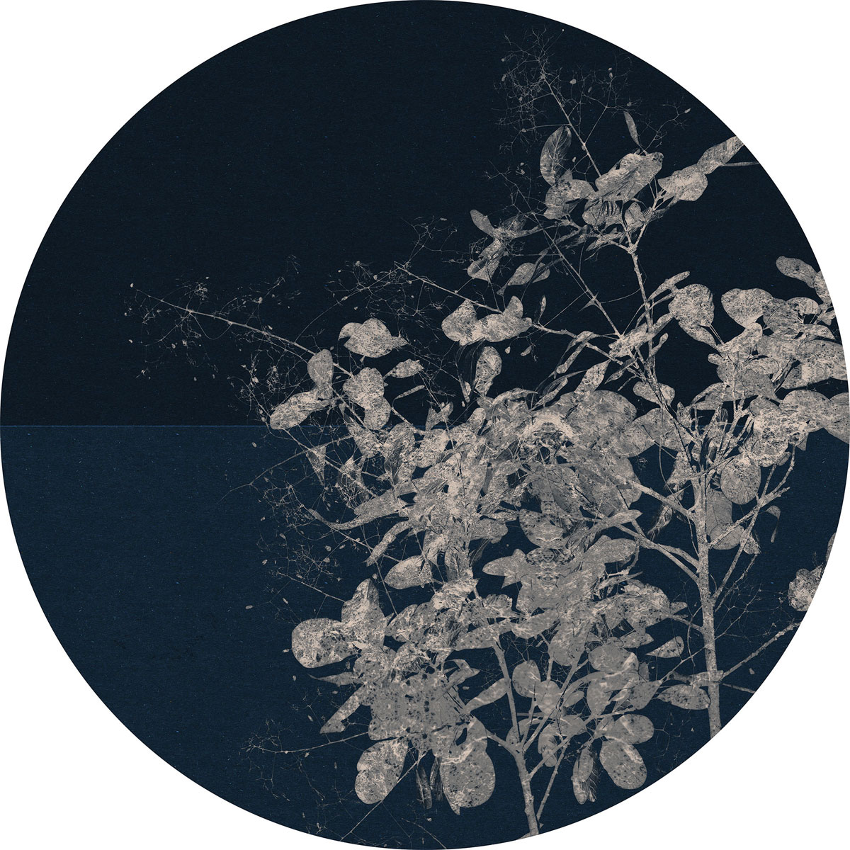 Komar  Selbstklebende Vlies Fototapete rund Branch Durchmesser 125 cm Bild 2