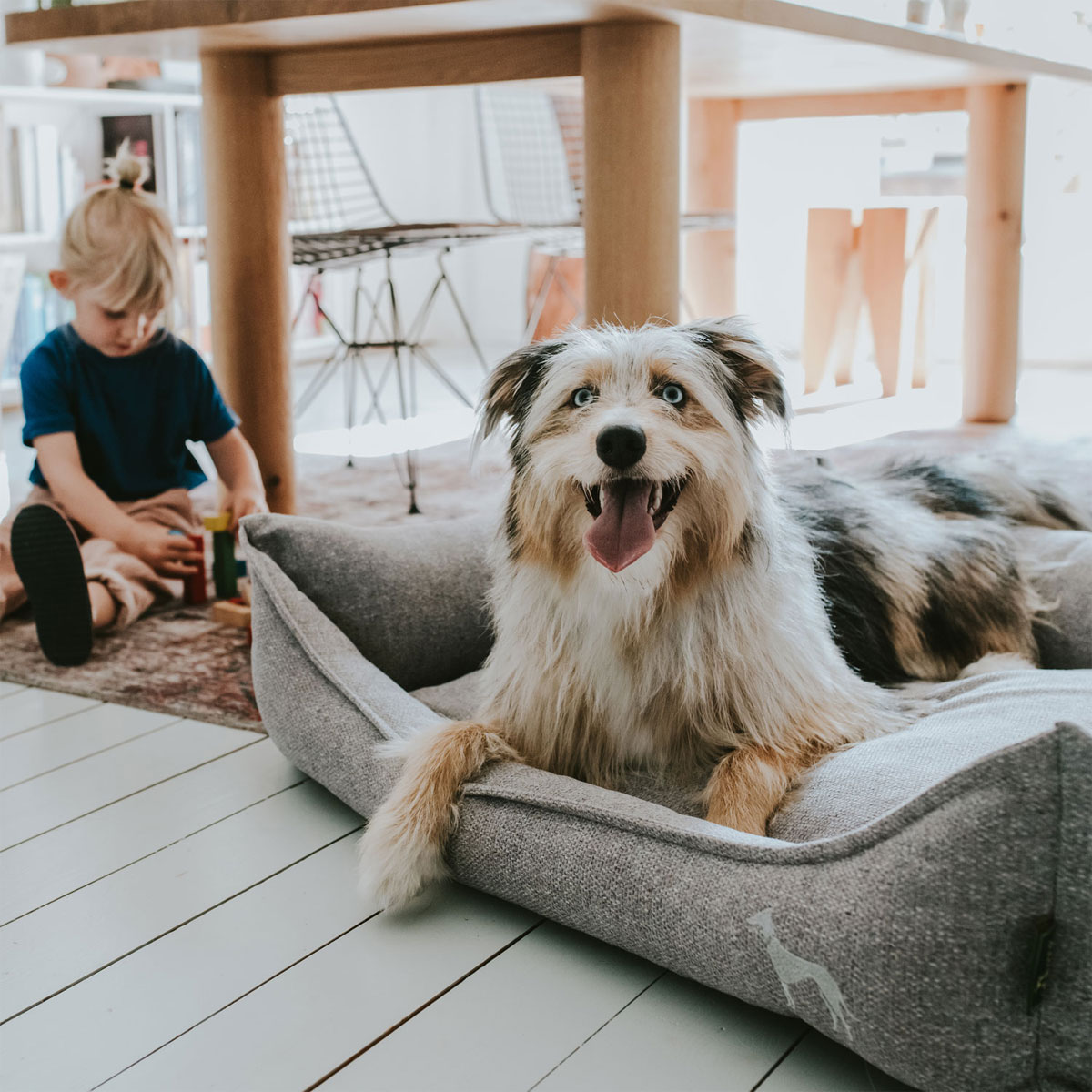 Hunter Hundesofa Prag grau 90 x 70 cm Bild 8