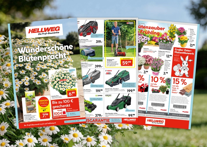 Beilage: Wunderschöne Blütenpracht