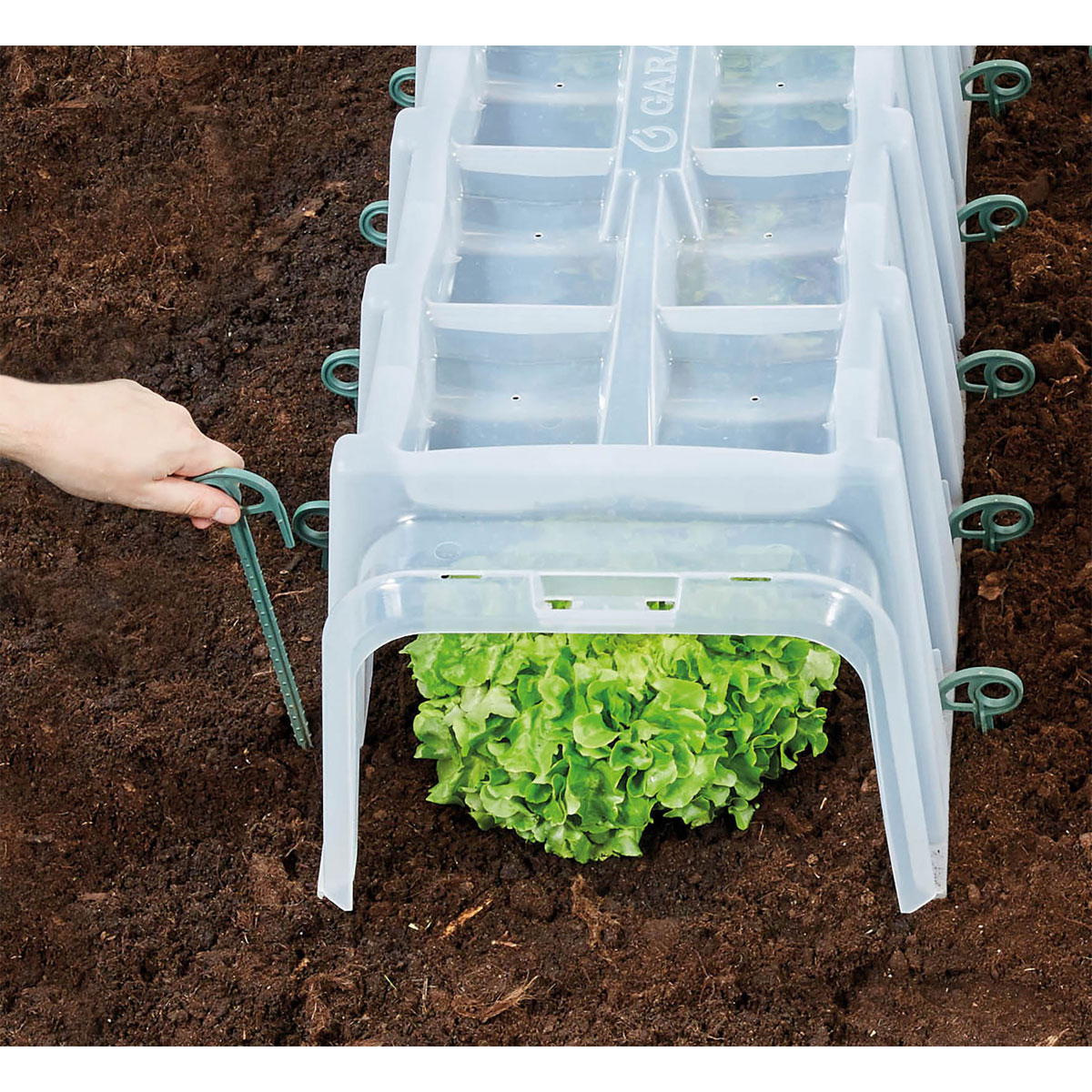 Garantia  Pflanztunnel Sunny 5er-Komplettset inkl. Endkappen und Bodenanker Bild 5