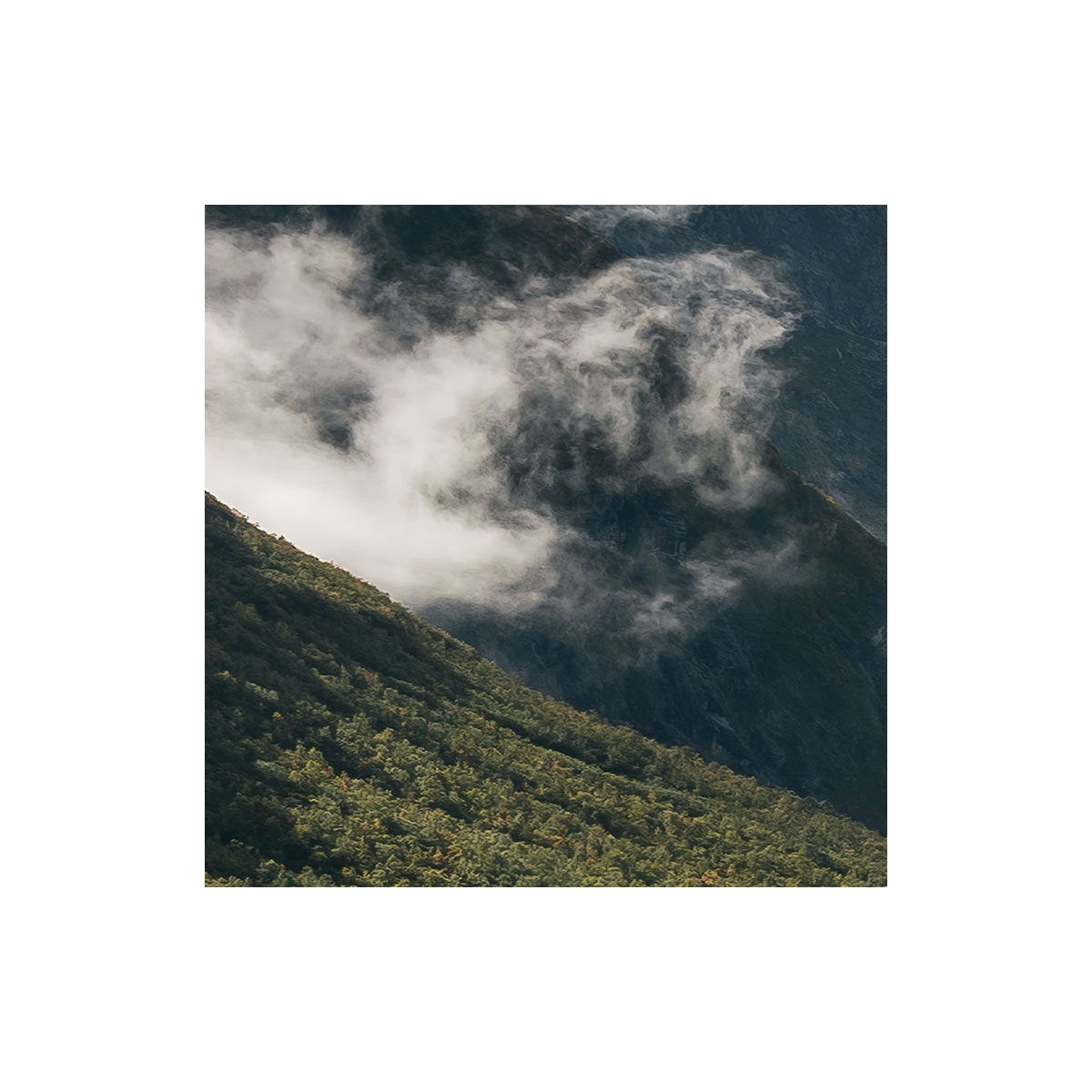 Komar  Vlies Fototapete Pure Norway 450x280 cm Bild 6