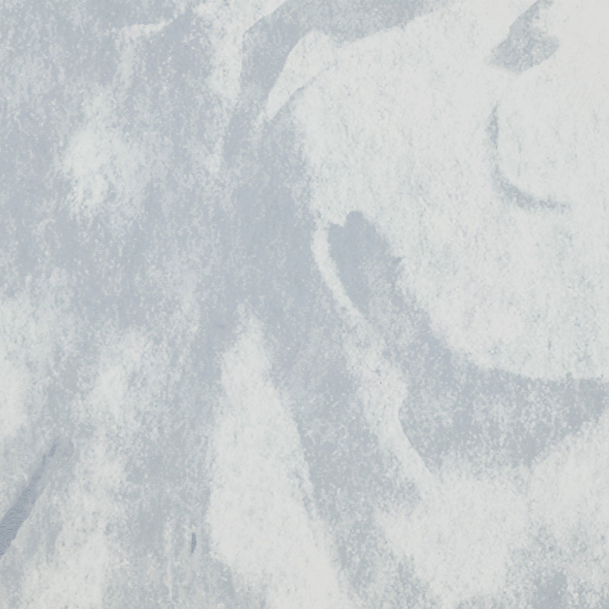 Komar  Vlies Fototapete Eve 300x280 cm Bild 7