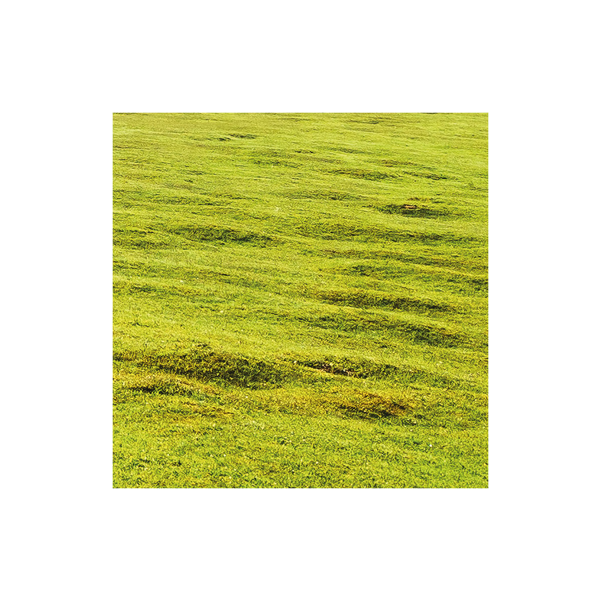 Komar  Vlies Fototapete Bergwiese vor Karwendel 450x280 cm Bild 5