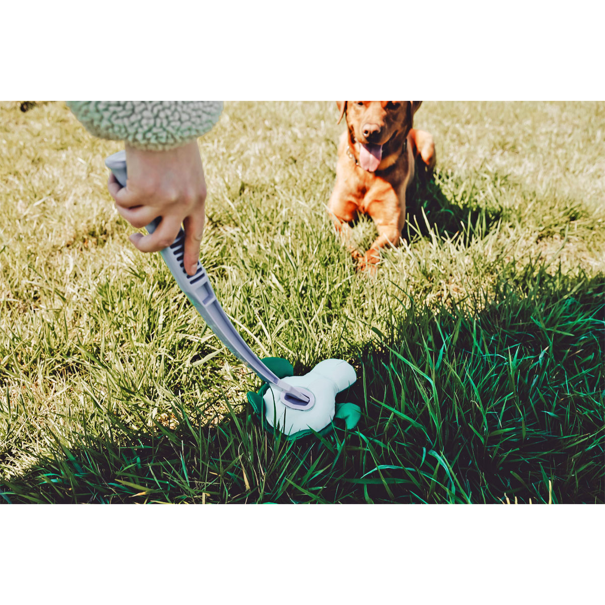 Hunter Wurf-Hundepielzeug Flingerz Schildkröte Splash Bild 6