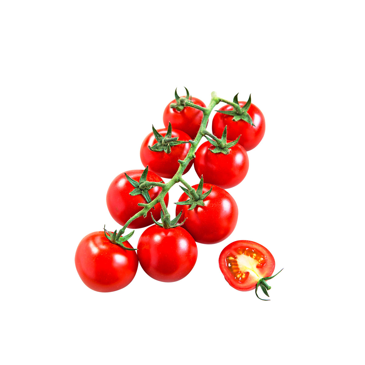 Plantiflor  Cocktailtomate plastikfrei Topf Durchmesser 12 cm Bild 1