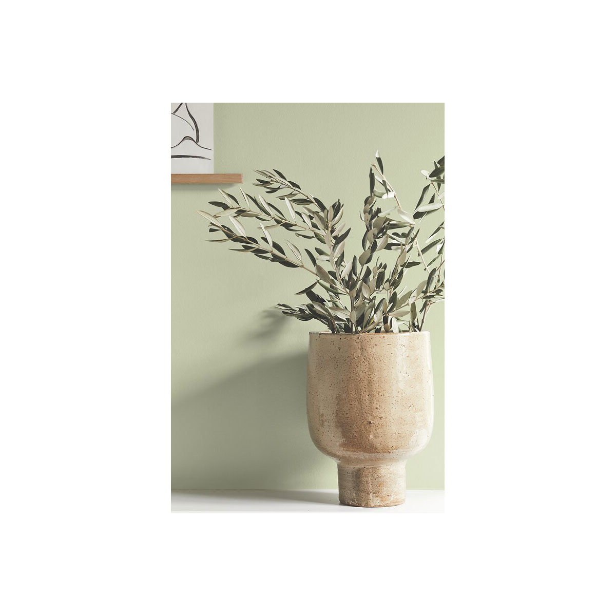 Alpina Feine Farben Essenz der Natur 2,5 L Bild 4