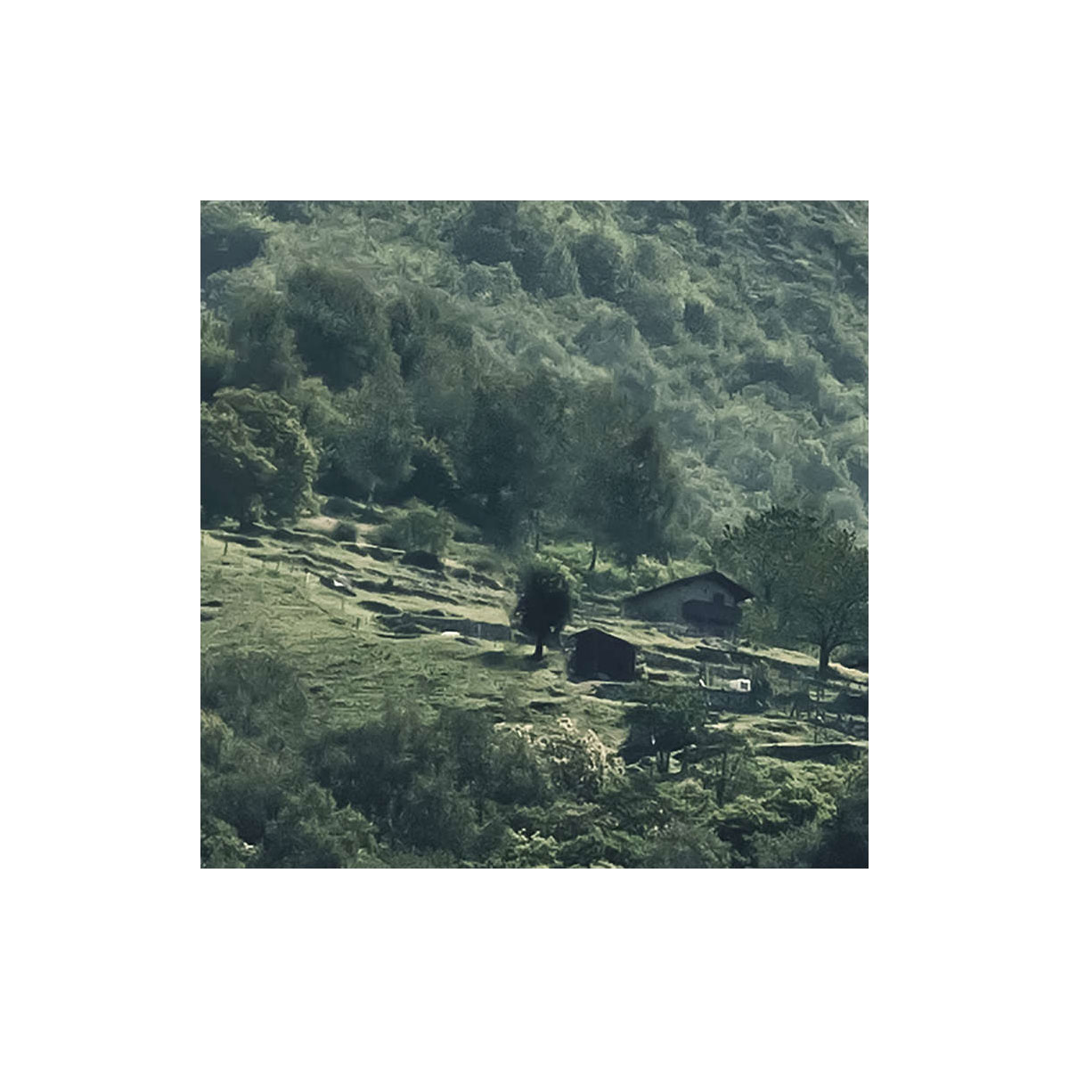 Komar  Vlies Fototapete The Summit 300x250 cm Bild 7