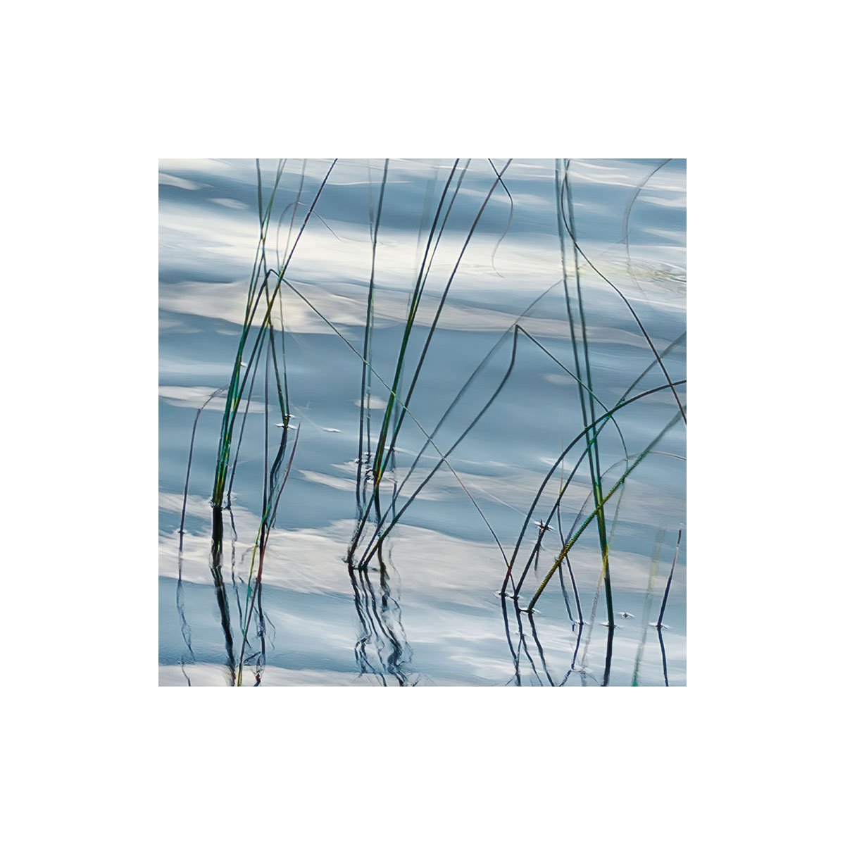 Komar  Vlies Fototapete Am Ende des Tages 300x280 cm Bild 3