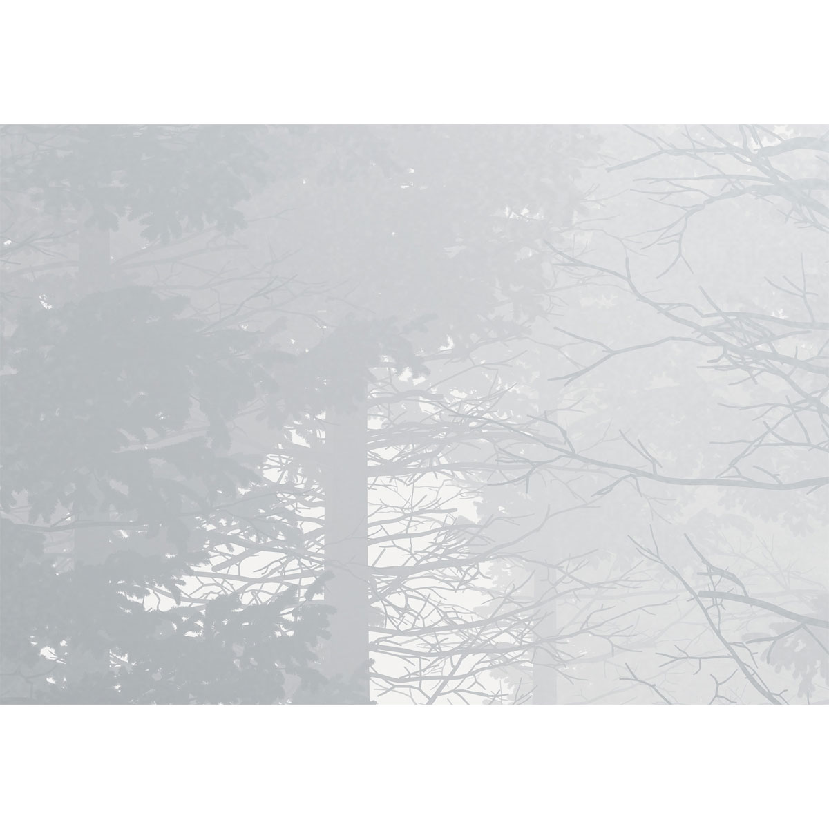 Komar  Vlies Fototapete Silver Haze 400x280 cm Bild 3