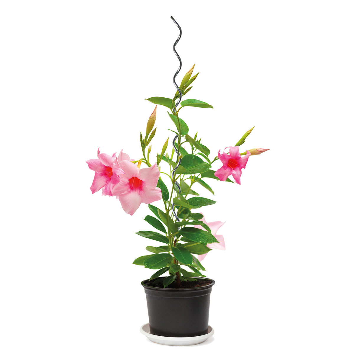 Pflanzspirale 110 cm Bild 1