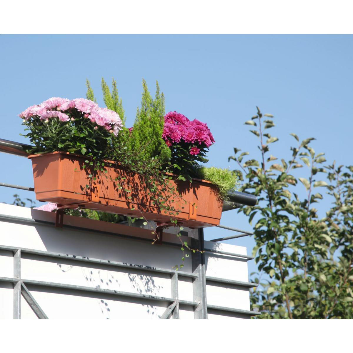 Geli Blumenkasten Standard Kunststoff terrakotta Bild 2
