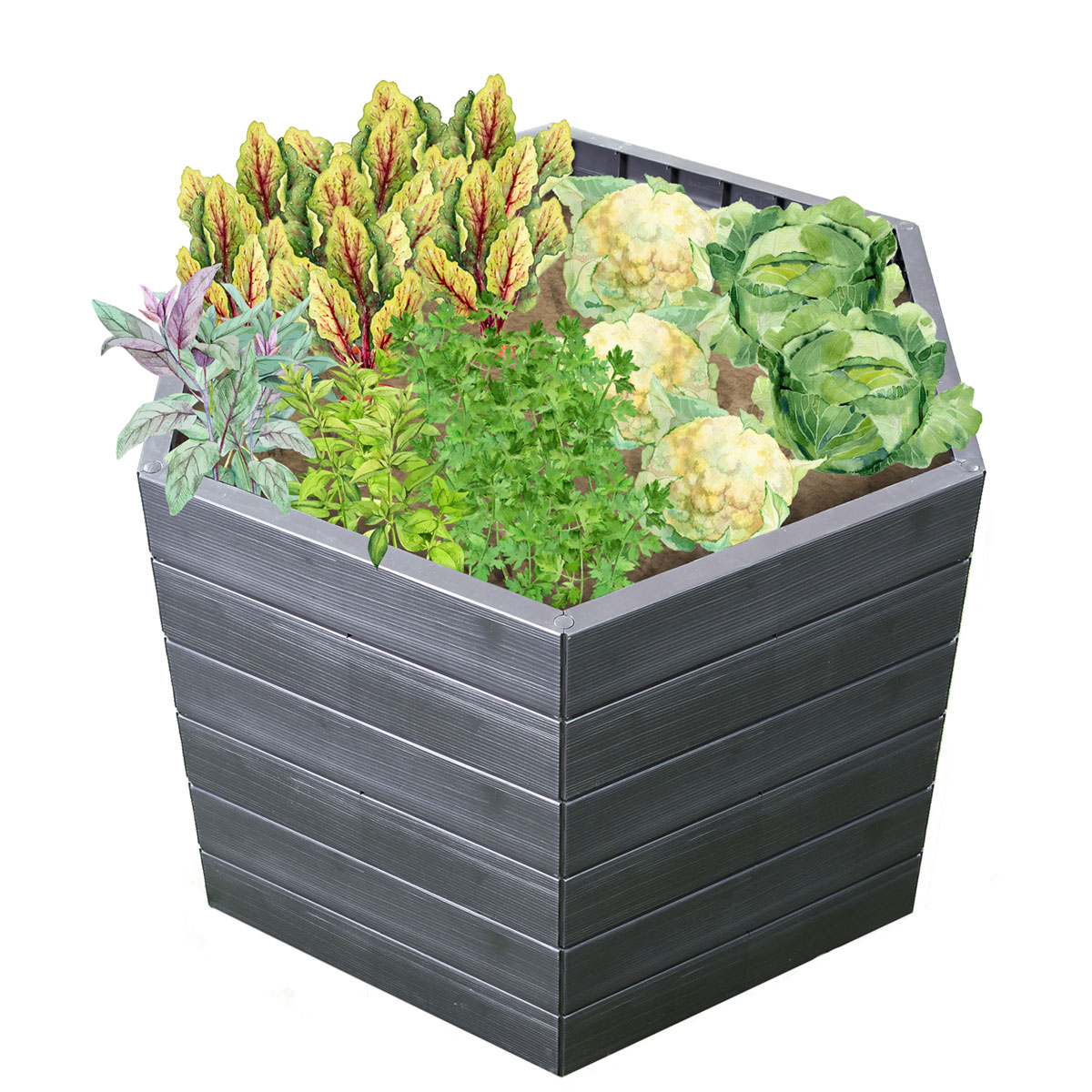 Garantia Hochbeet ERGO L 75 Wood inkl FLORA Bild 3