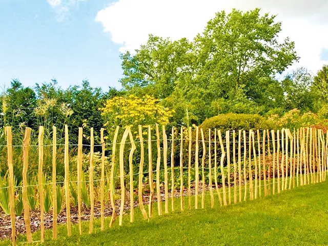 Ein Holzzaun steht am Rand eines grünen Gartens mit Bäumen und Sträuchern.