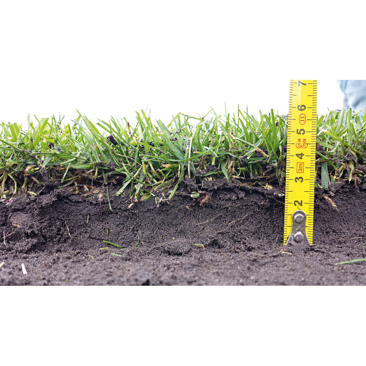 Plantiflor Rollrasen Sport und Spiel Bild 4