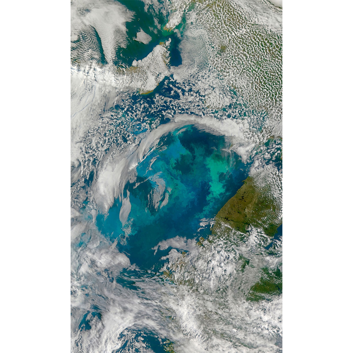 Komar  Vlies Fototapete Planet 150x250 cm Bild 2