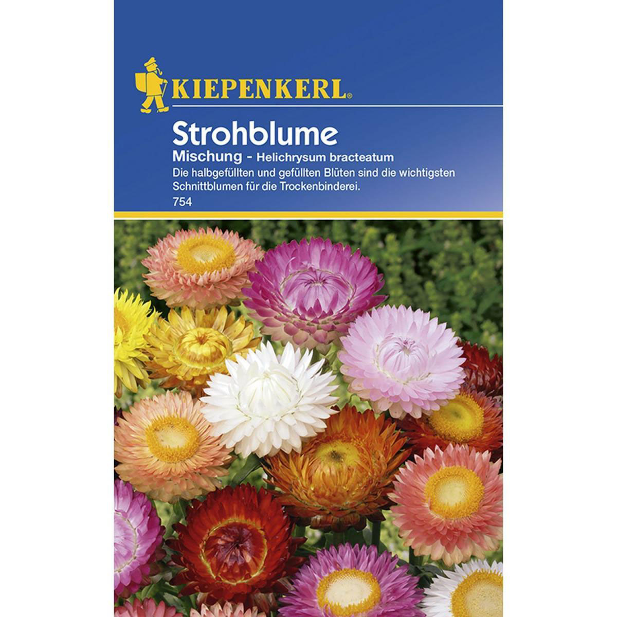 Kiepenkerl Strohblumen Mischung Bild 1