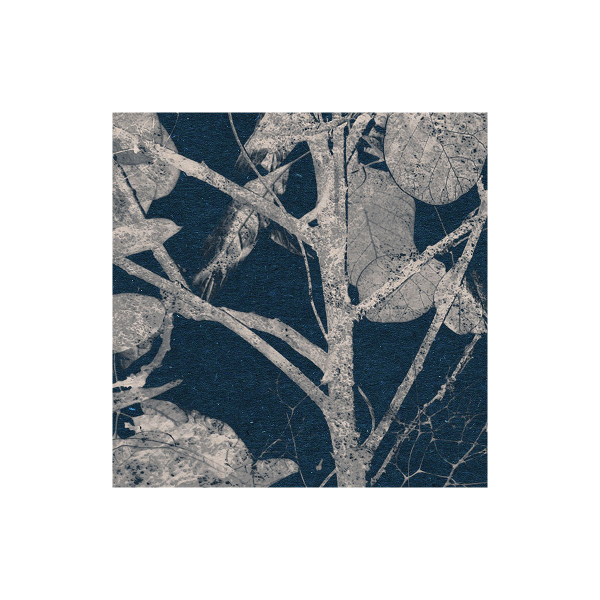 Komar  Selbstklebende Vlies Fototapete rund Branch Durchmesser 125 cm Bild 4