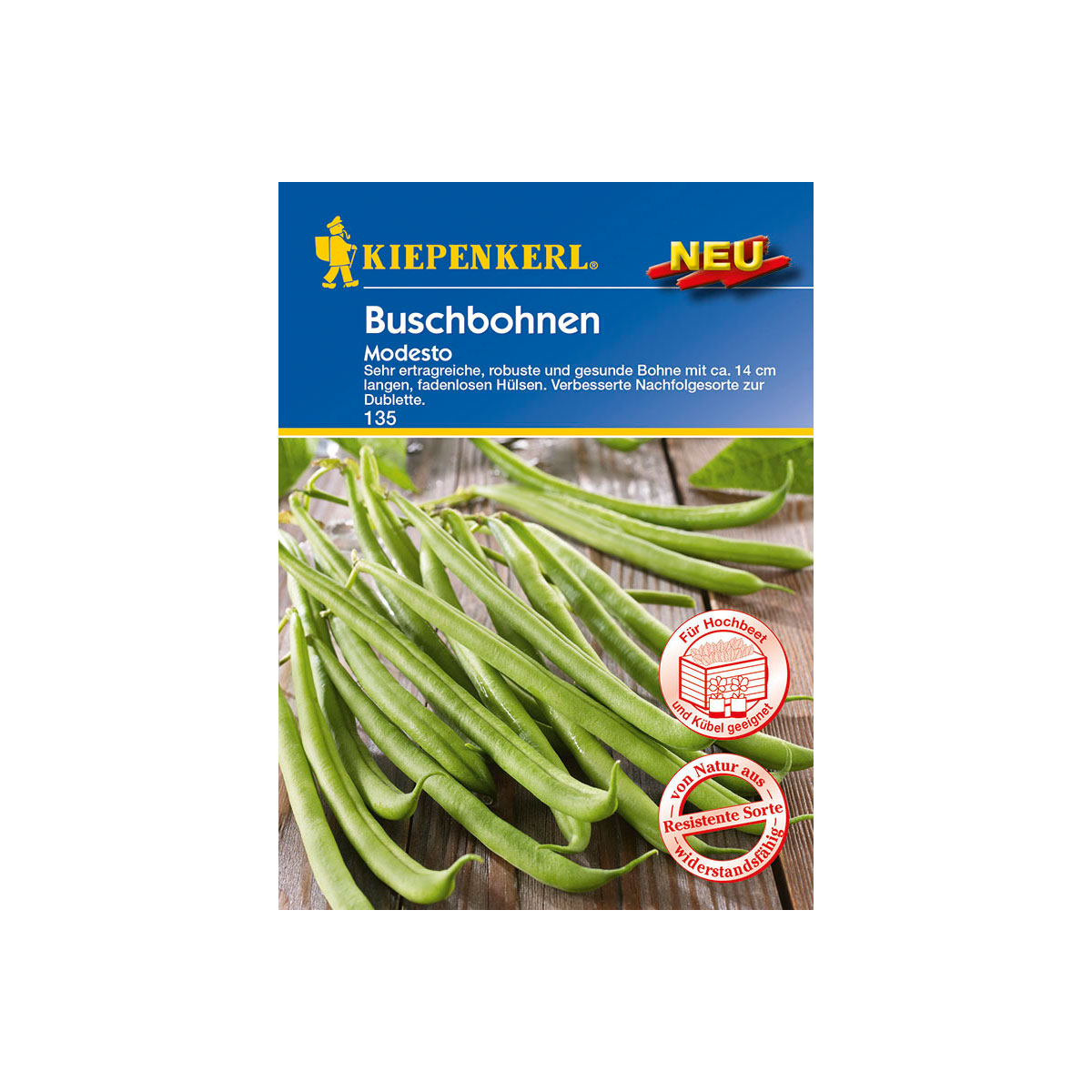 Kiepenkerl Buschbohne Modesto Bild 1