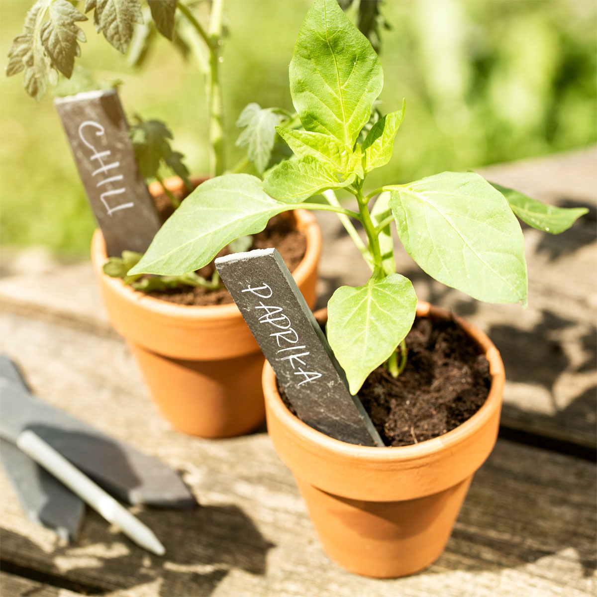 Windhager Stecketiketten Schiefer und Kreide 8 Stück Bild 2