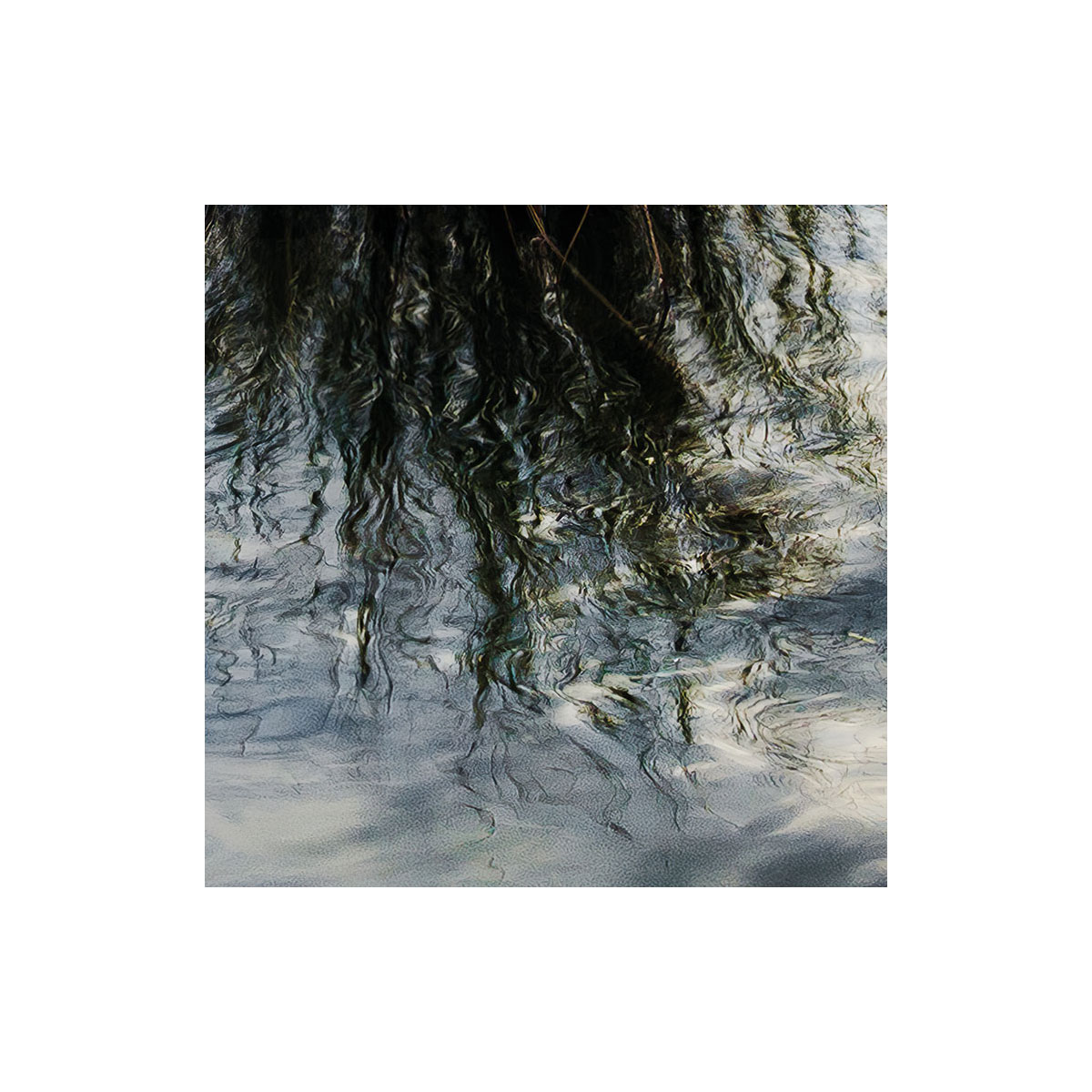 Komar  Vlies Fototapete Am Ende des Tages 300x280 cm Bild 5