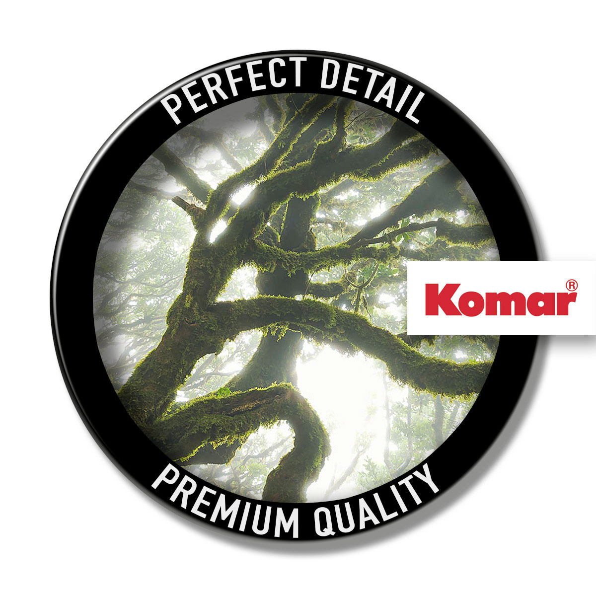 Komar  Vlies Fototapete The Forgotten Forest 400x250 cm Bild 5