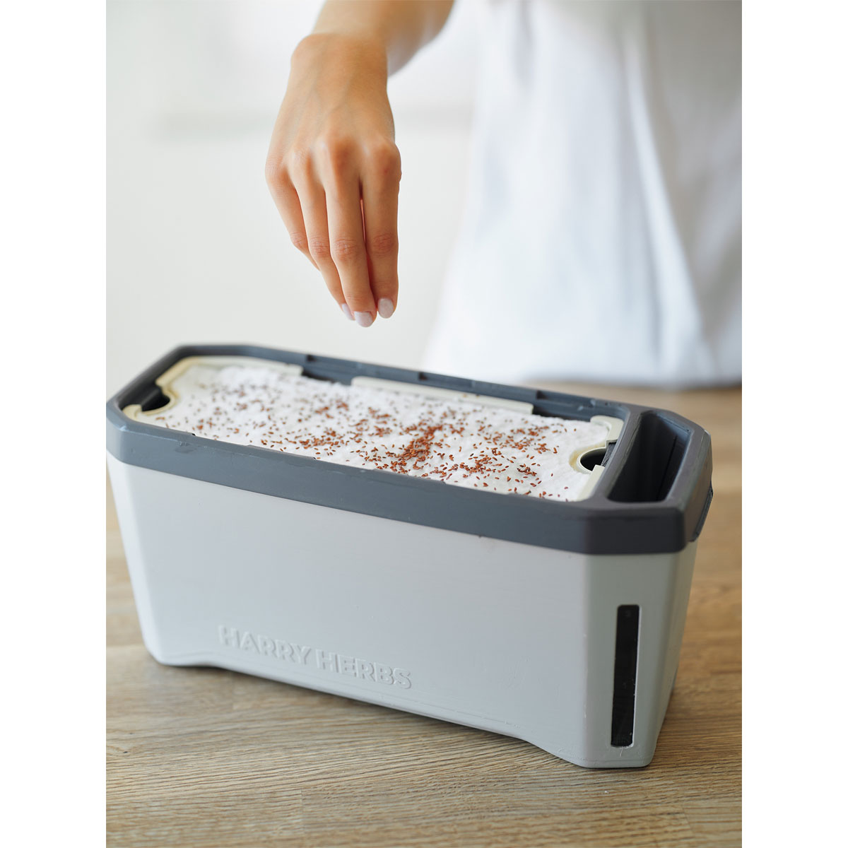 Anzuchtgefäß Harry Herbs mit Deckel hellgrau Bild 1