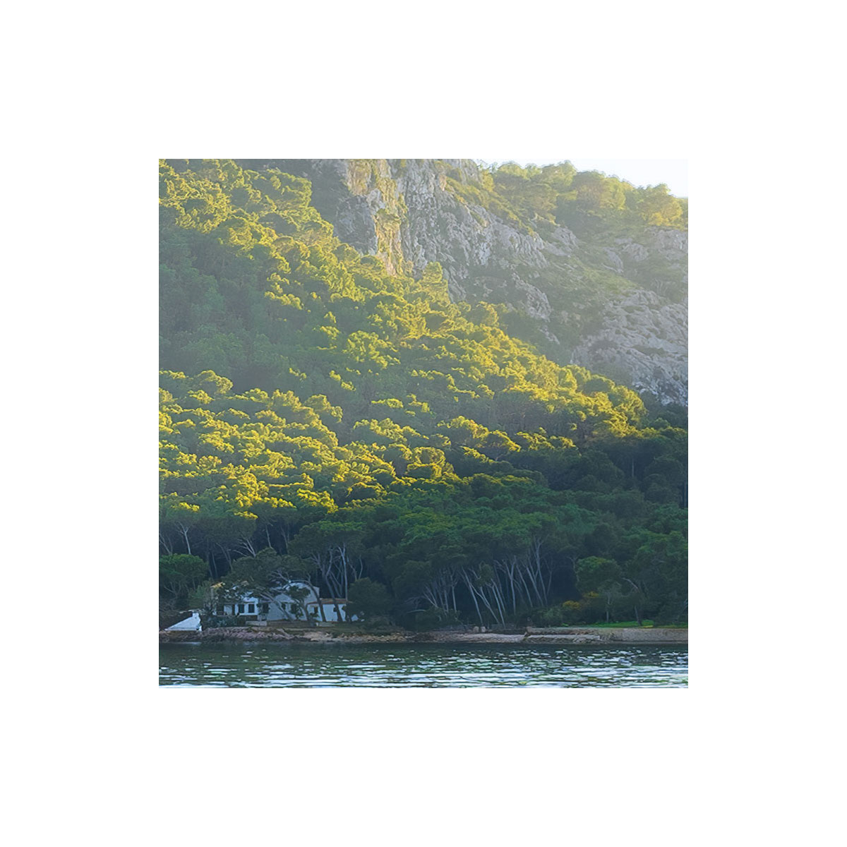 Komar  Vlies Fototapete Lonely Paradise 450x280 cm Bild 9