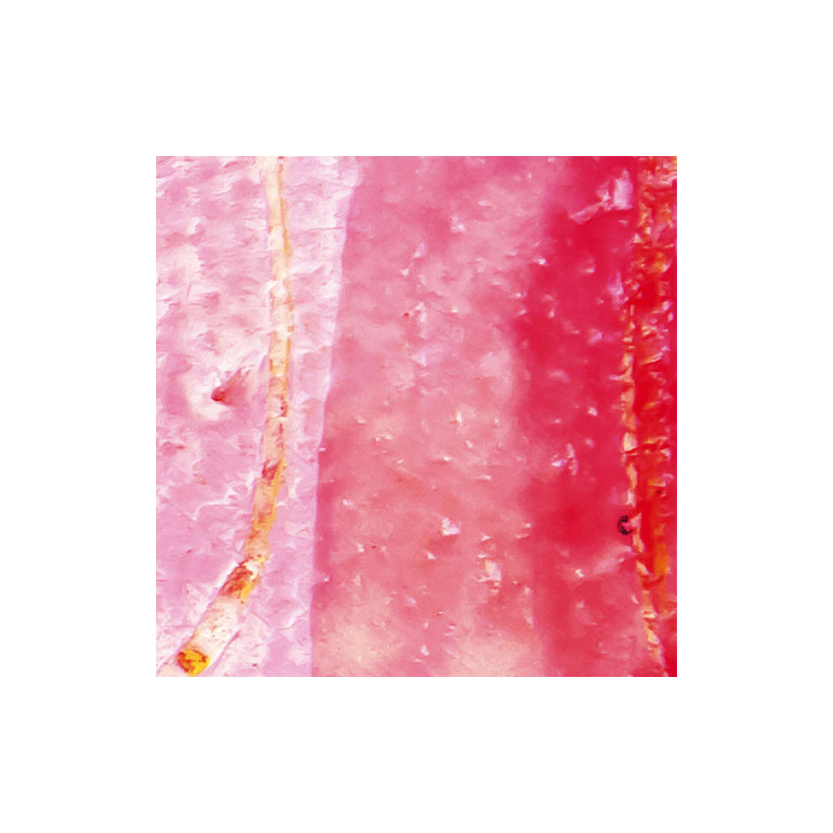 Komar  Vlies Fototapete Cells Wrapping 500x280 cm Bild 9