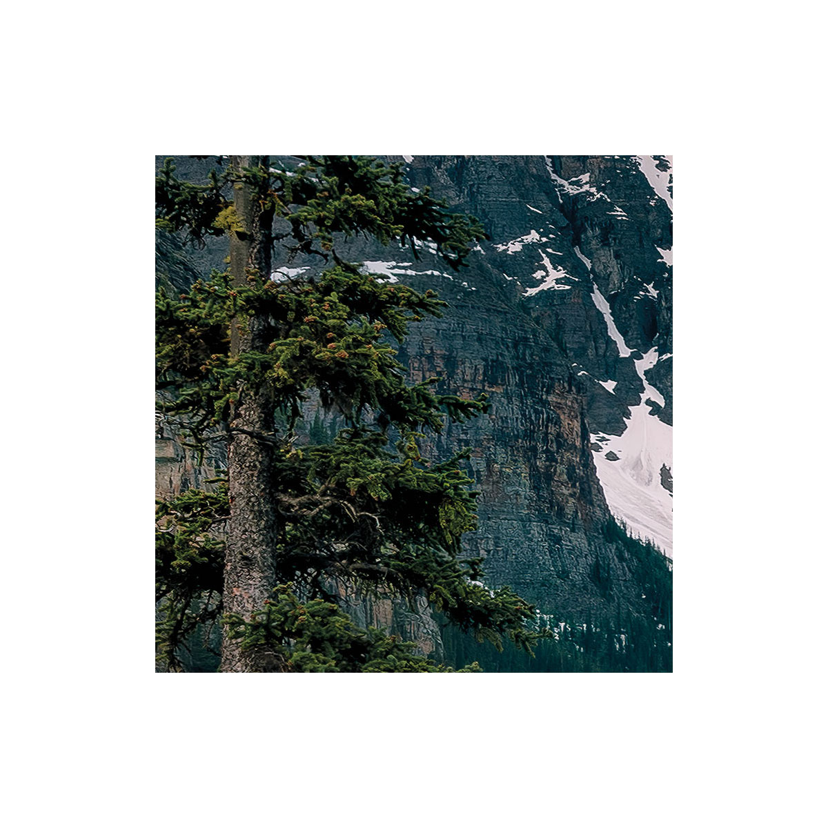 Komar  Vlies Fototapete Magic Moraine Morning 450x280 cm Bild 4