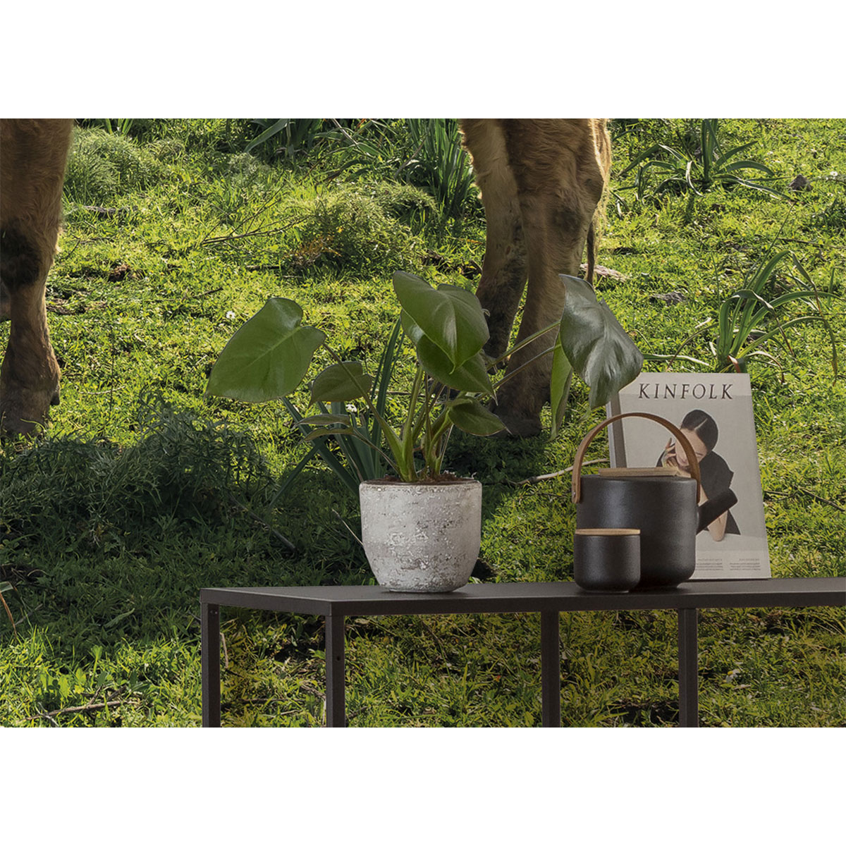 Komar  Vlies Fototapete Kuhparadies 450x280 cm Bild 3