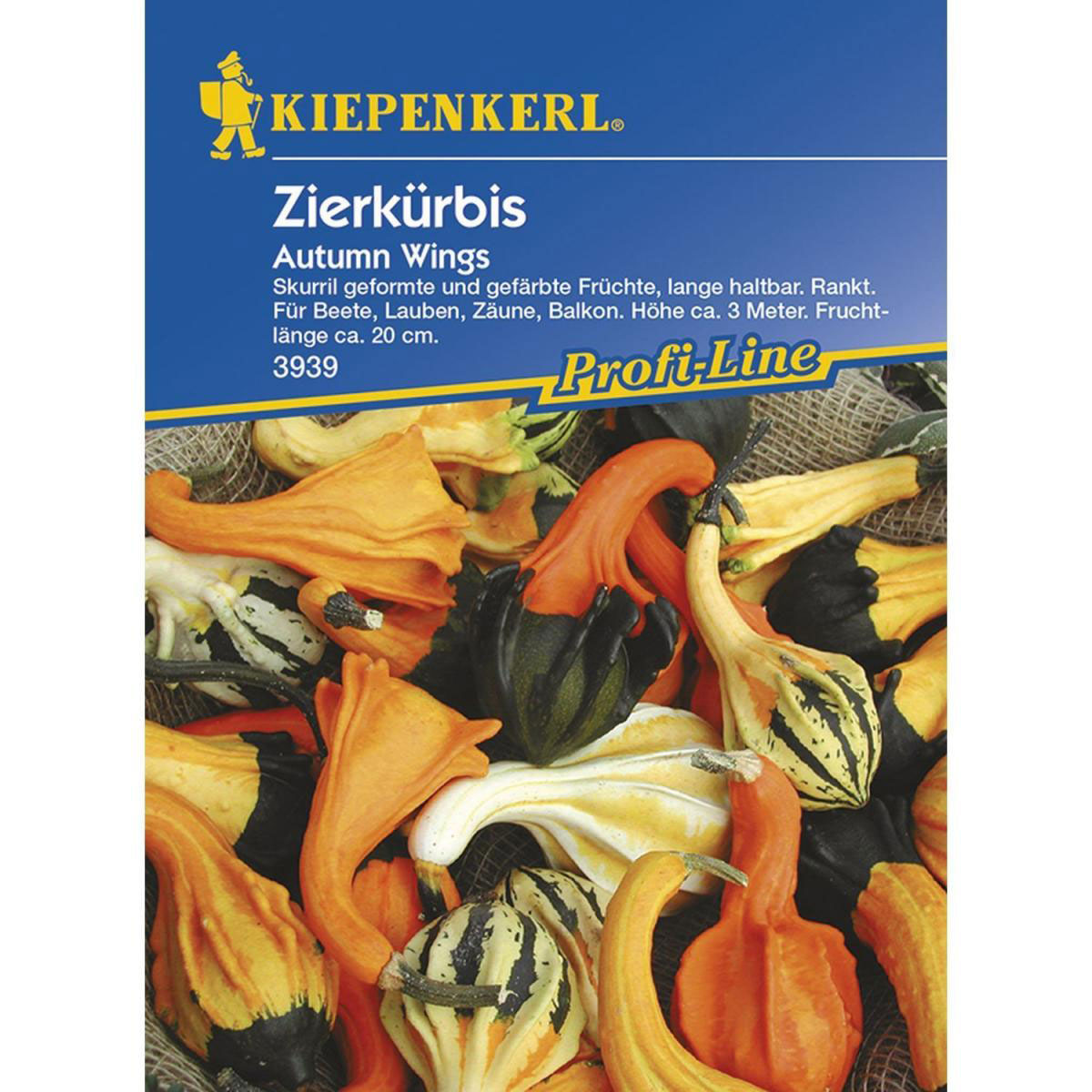 Kiepenkerl Zierkürbis Autumn Wings Profi-Line Bild 1