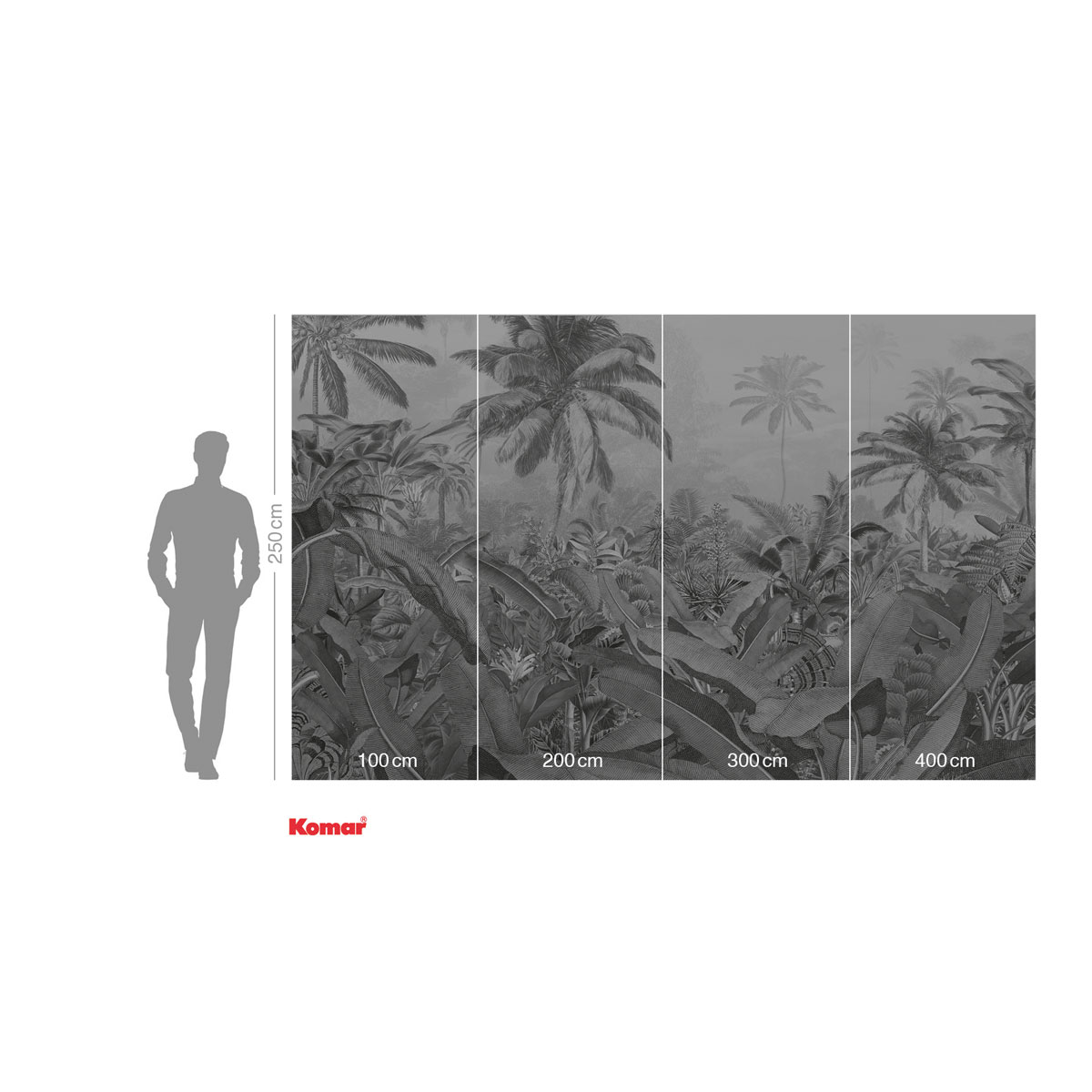 Komar  Vlies Fototapete Amazonia Black & White 400x250 cm Bild 3