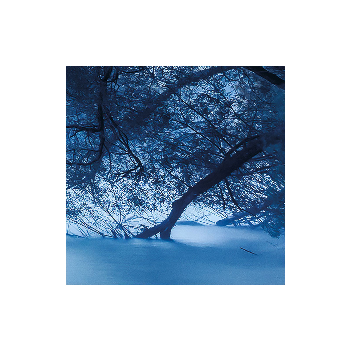 Komar  Vlies Fototapete Blue Waters 400x250 cm Bild 5