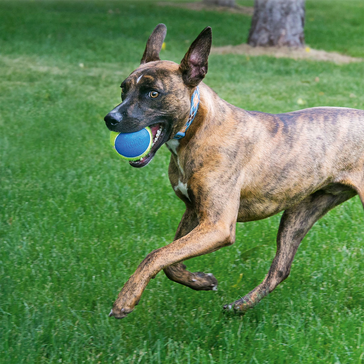 KONG Hundespielzeug Squeakair Ultra Balls Durchmesser 7 cm 3 Stück Bild 2