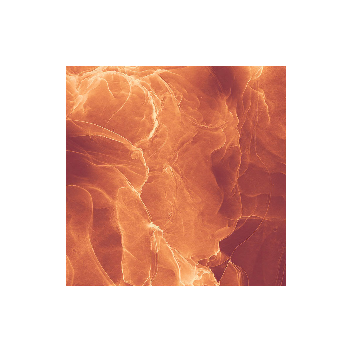 Komar  Vlies Fototapete Evoke 400x280 cm Bild 8