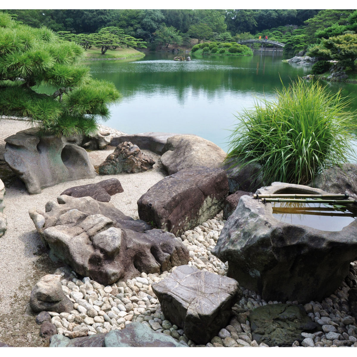 Siena Garden Premium Gartenbauvlies 1,2 x 10 m braun Rolle Bild 2