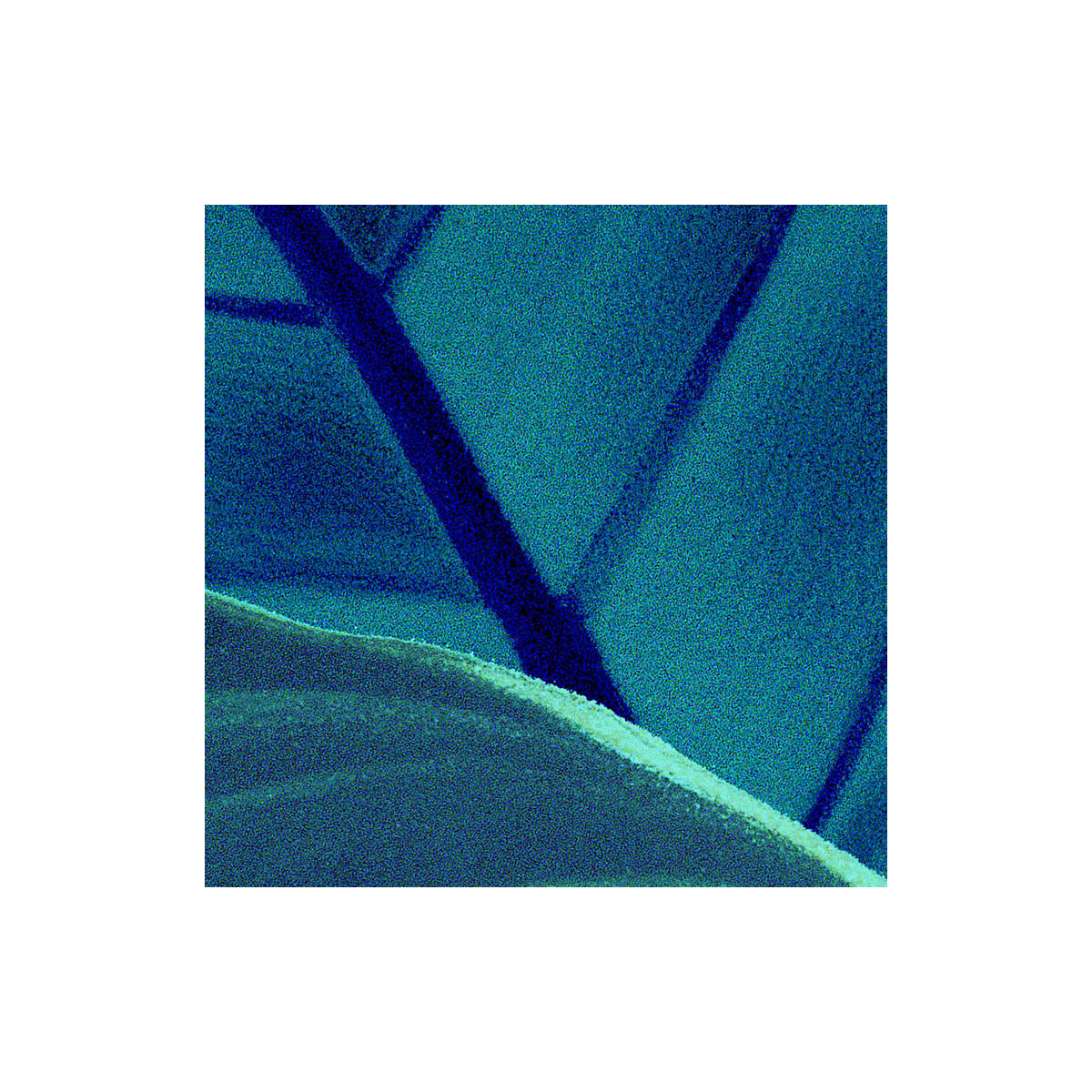 Komar  Vlies Fototapete Foliage 200x250 cm Bild 8