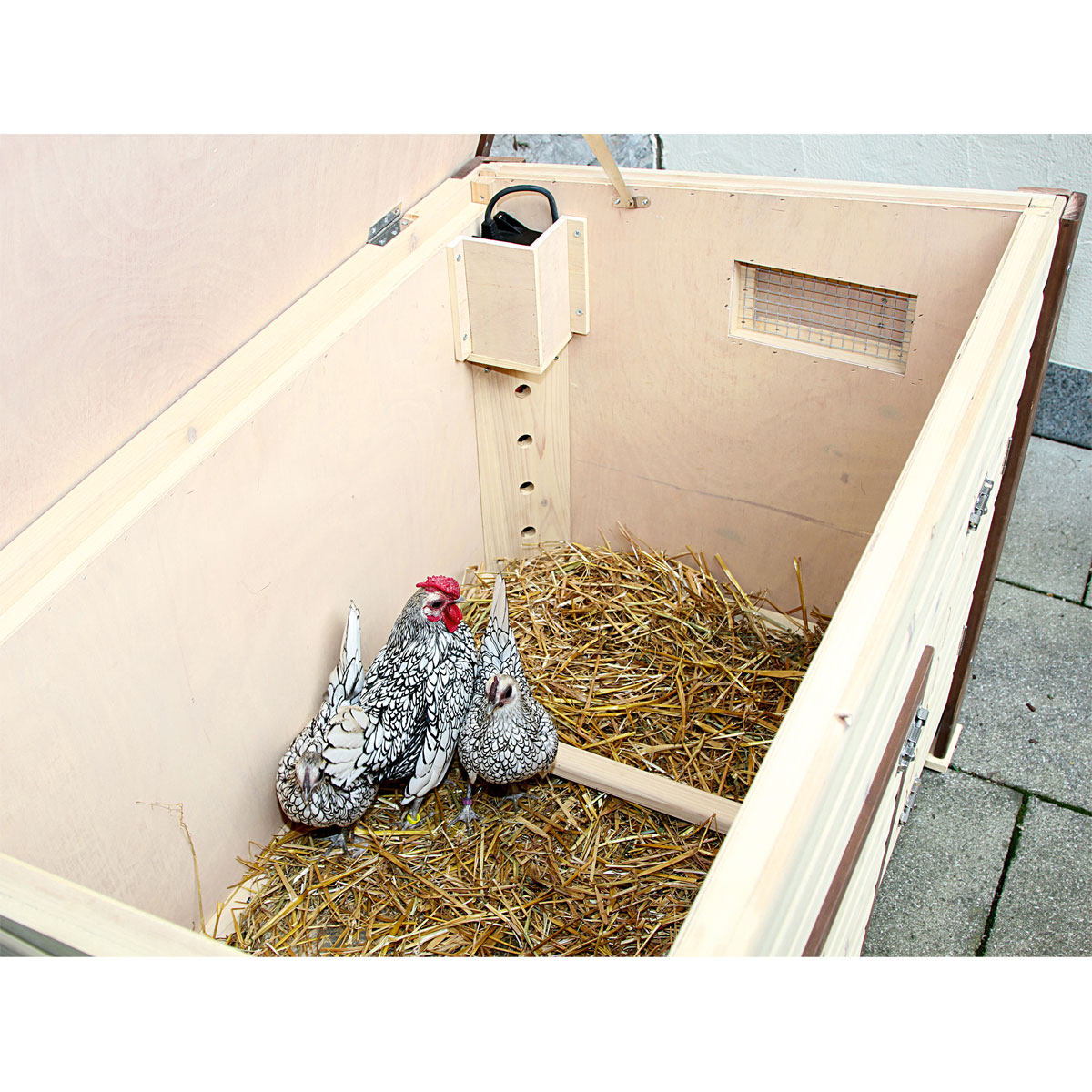 Thermo-Hühnerstall No Frost 146 x 82 x 74 cm braun Bild 4