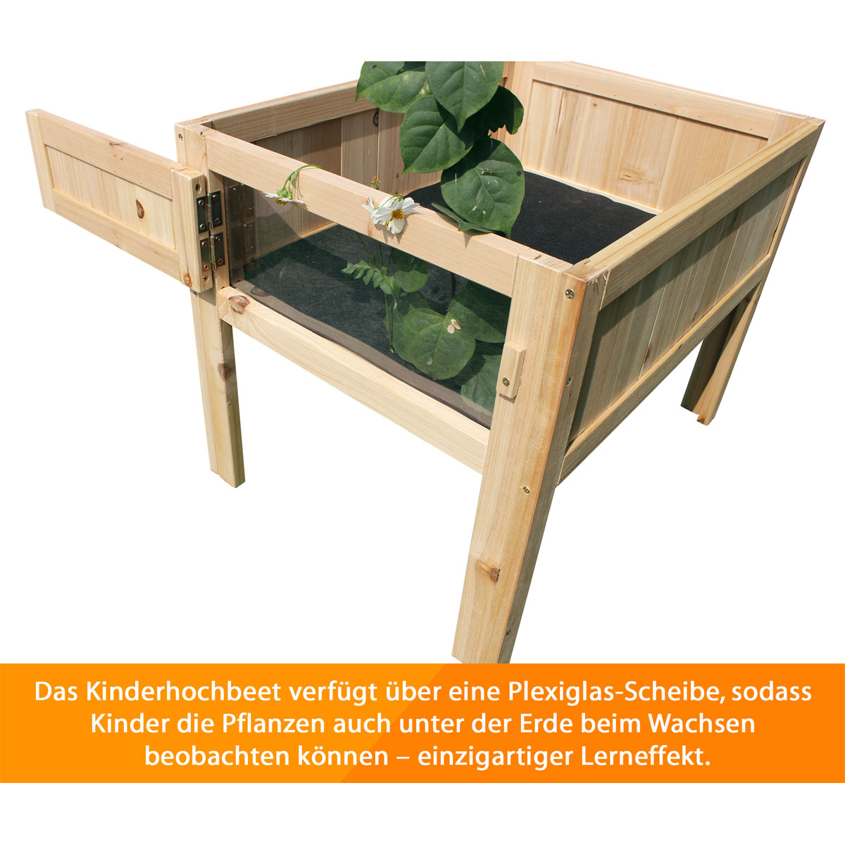 Coemo  Hochbeet Peter für Kinder mit Schaufenster Bild 1