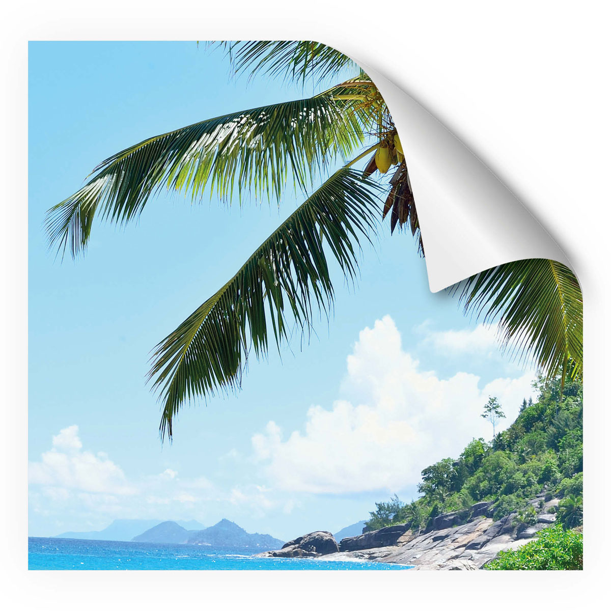 MySpotti Fresh DuschrückwandfolieSeychellen Bild 2