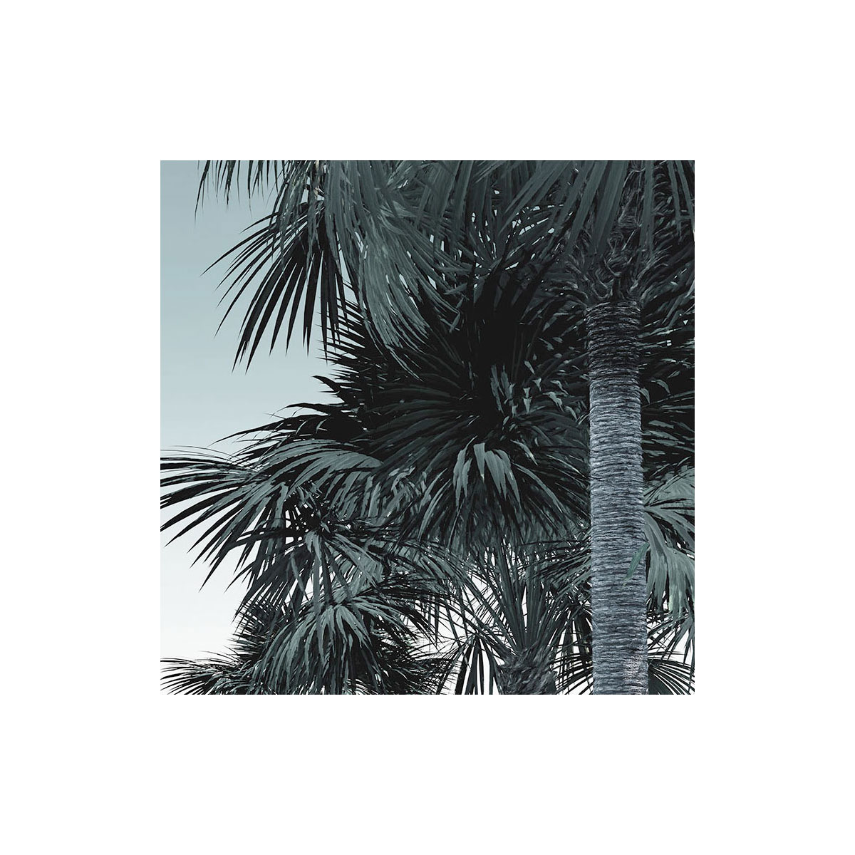 Komar  Vlies Fototapete Guanabara 400x280 cm Bild 7