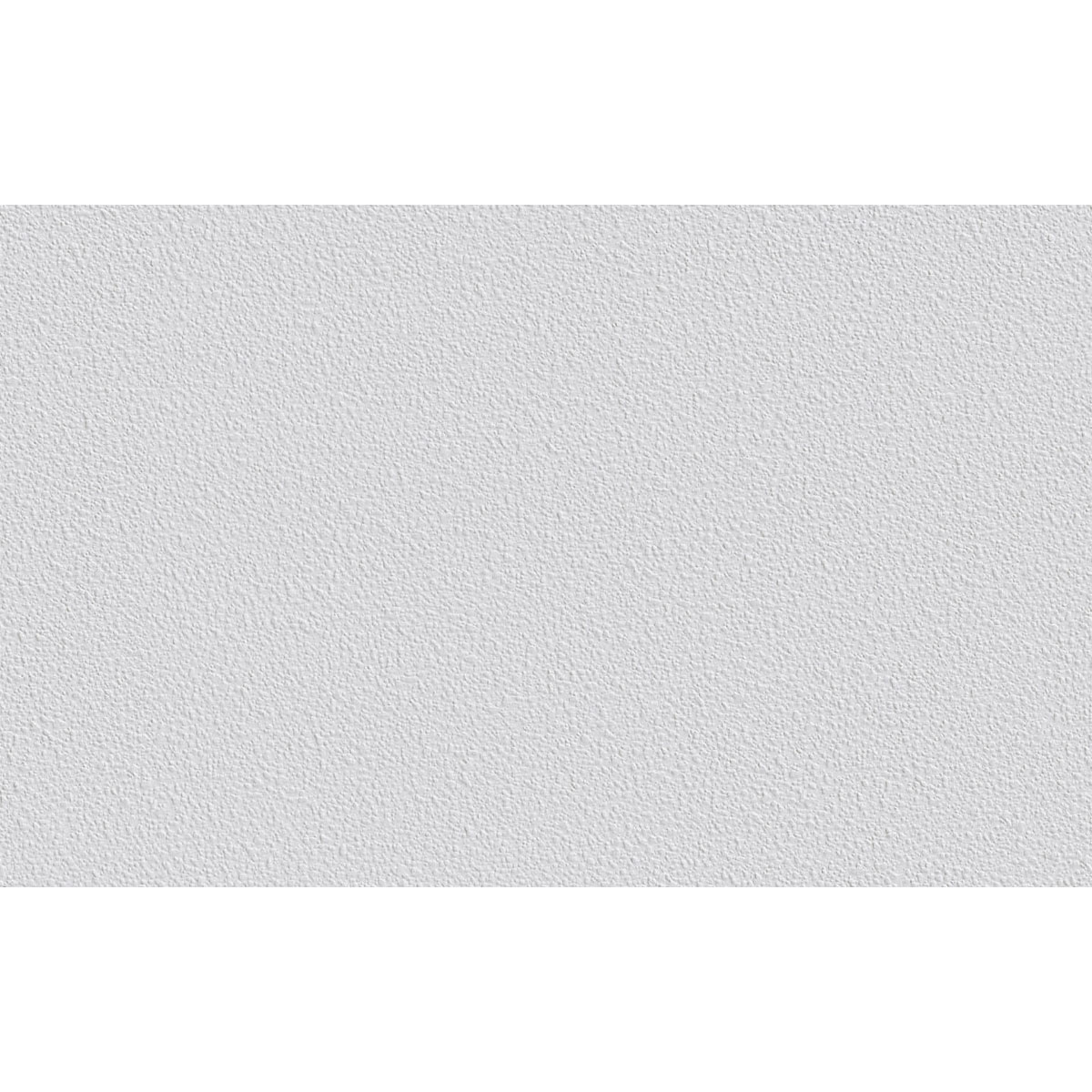 Erfurt  Vliesfaser Protect 208 weiß 1005 x 53 cm Bild 2