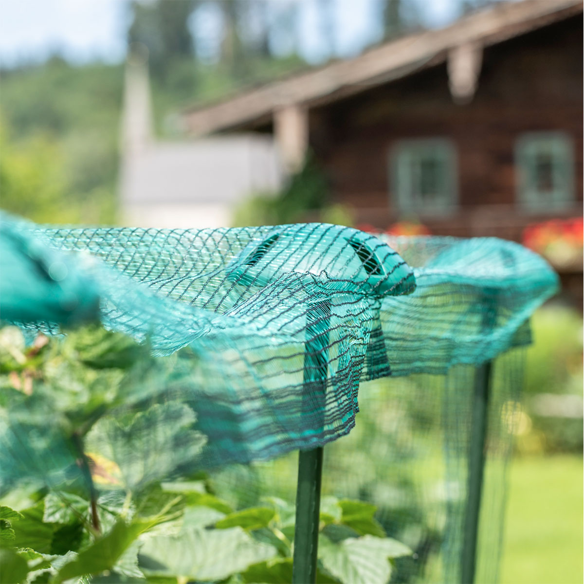 Windhager  Pflanzstab-Netzhalter Durchmesser 12 cm 5 Stück Bild 1