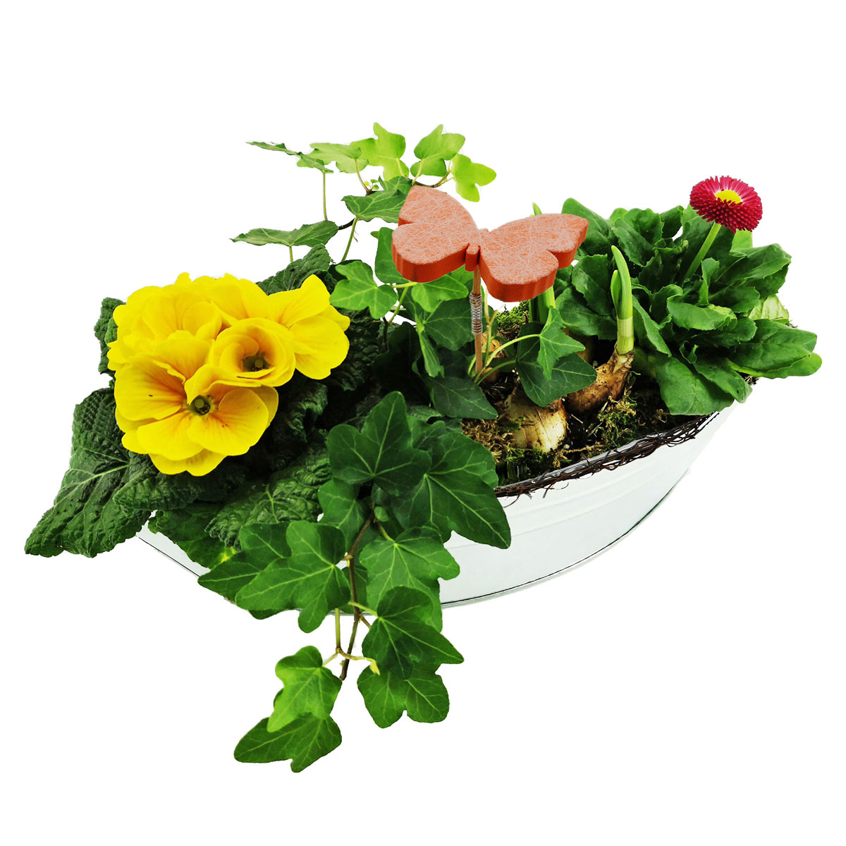 Plantiflor  Bepflanzte Zinkschale inkl Dekostecker Bild 2